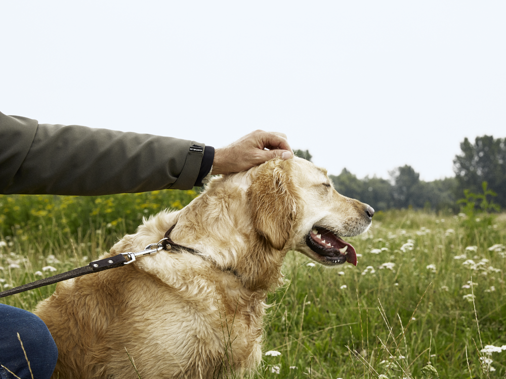 Advies in de winkel - hond